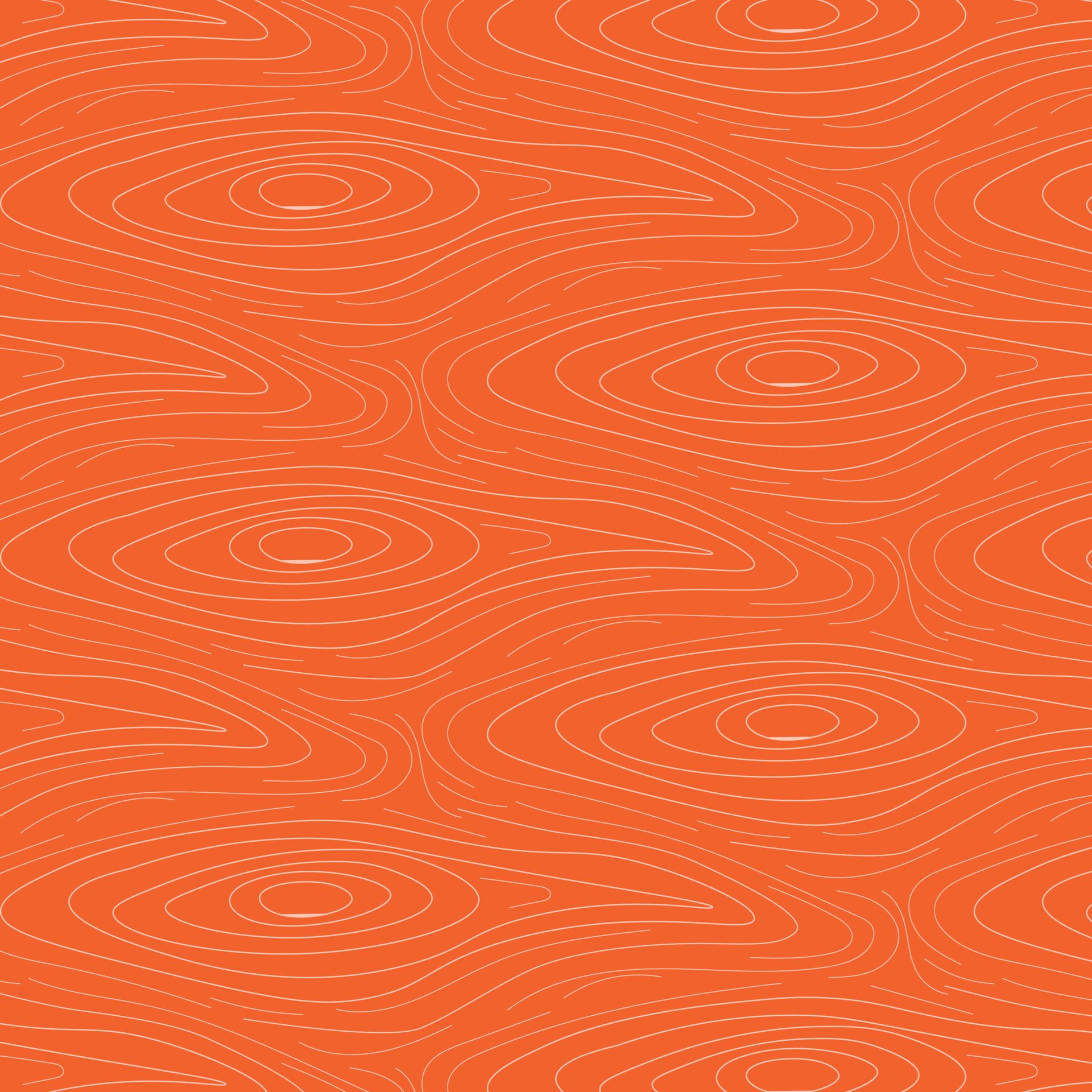 Salmon fillet texture, fish pattern. Vector background with salmon stripes