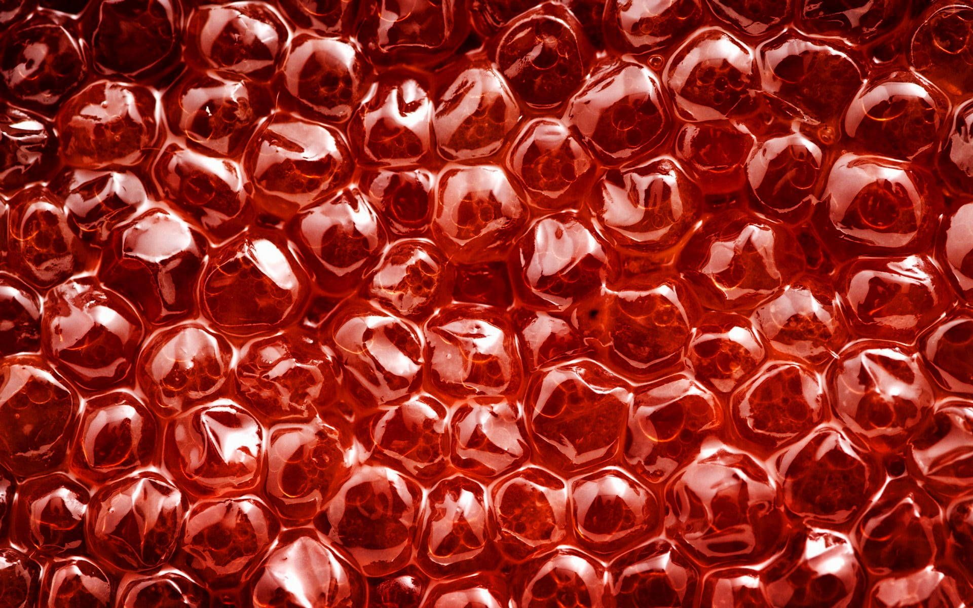 Download Salmon Caviar Pink Aesthetic Close Up Wallpaper