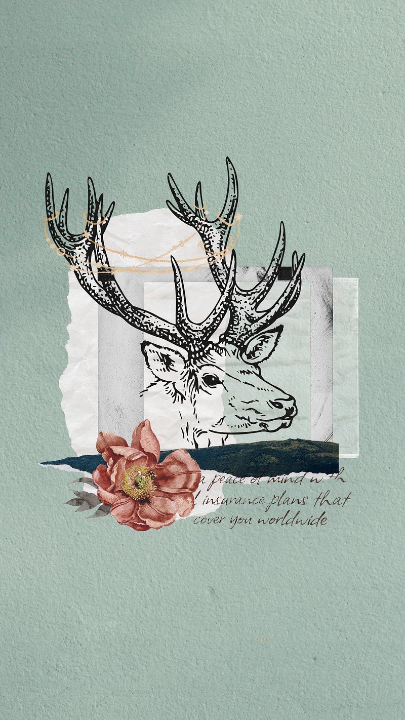 A deer illustration on a pale green background - Deer