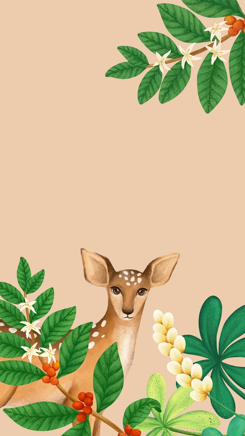 Fallow Deer Image Wallpaper
