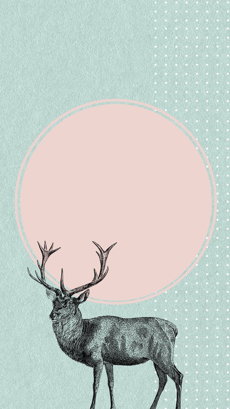 IPhone wallpaper with a deer and a pink circle - Deer