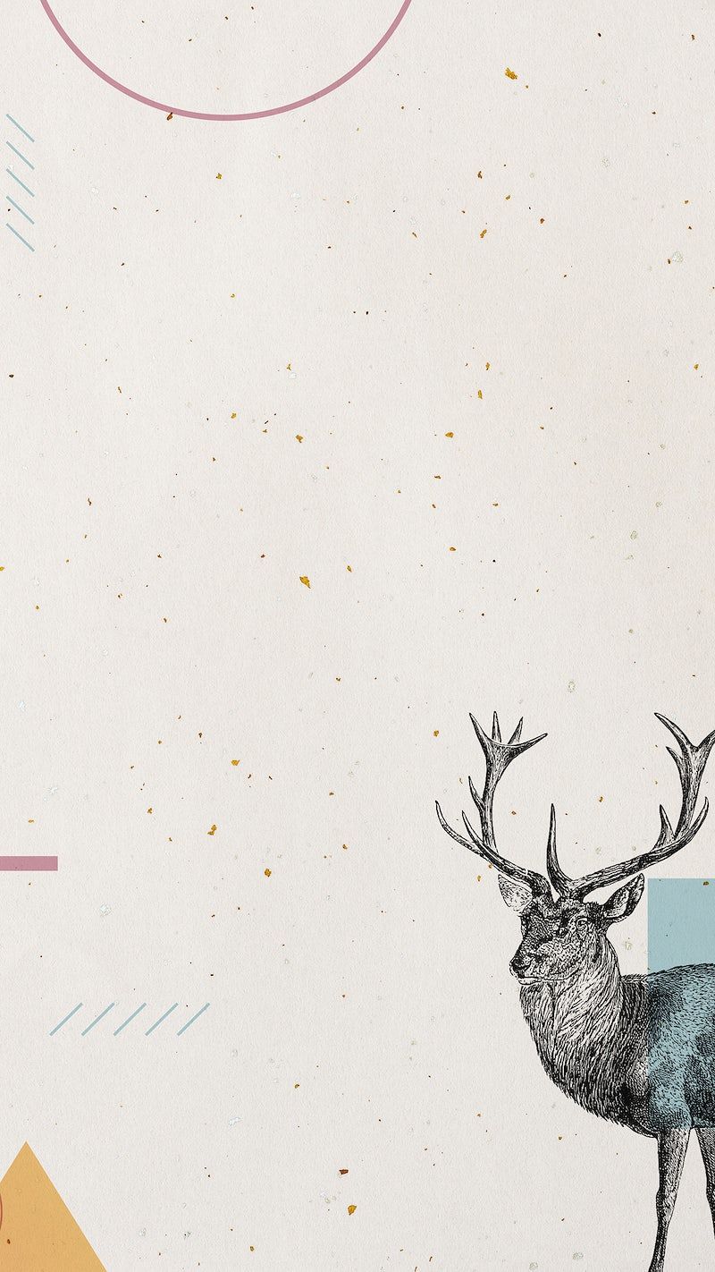 Hand drawn illustration of a deer on a white background - Deer