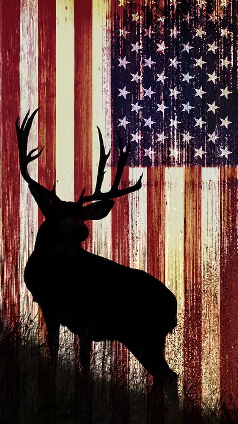 HD deer wallpaper