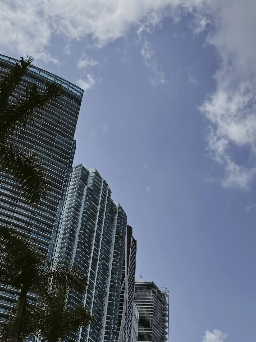 Tall buildings with palm trees in front of them and a blue sky with clouds. - Florida