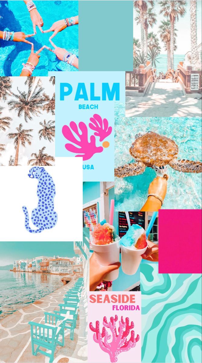 A collage of images of the beach, palm trees, and drinks. - Florida