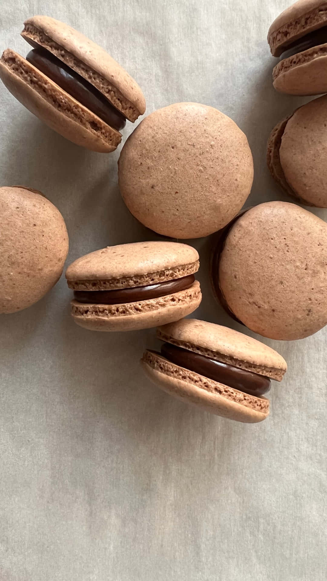 A row of chocolate macarons with chocolate ganache filling - Chocolate