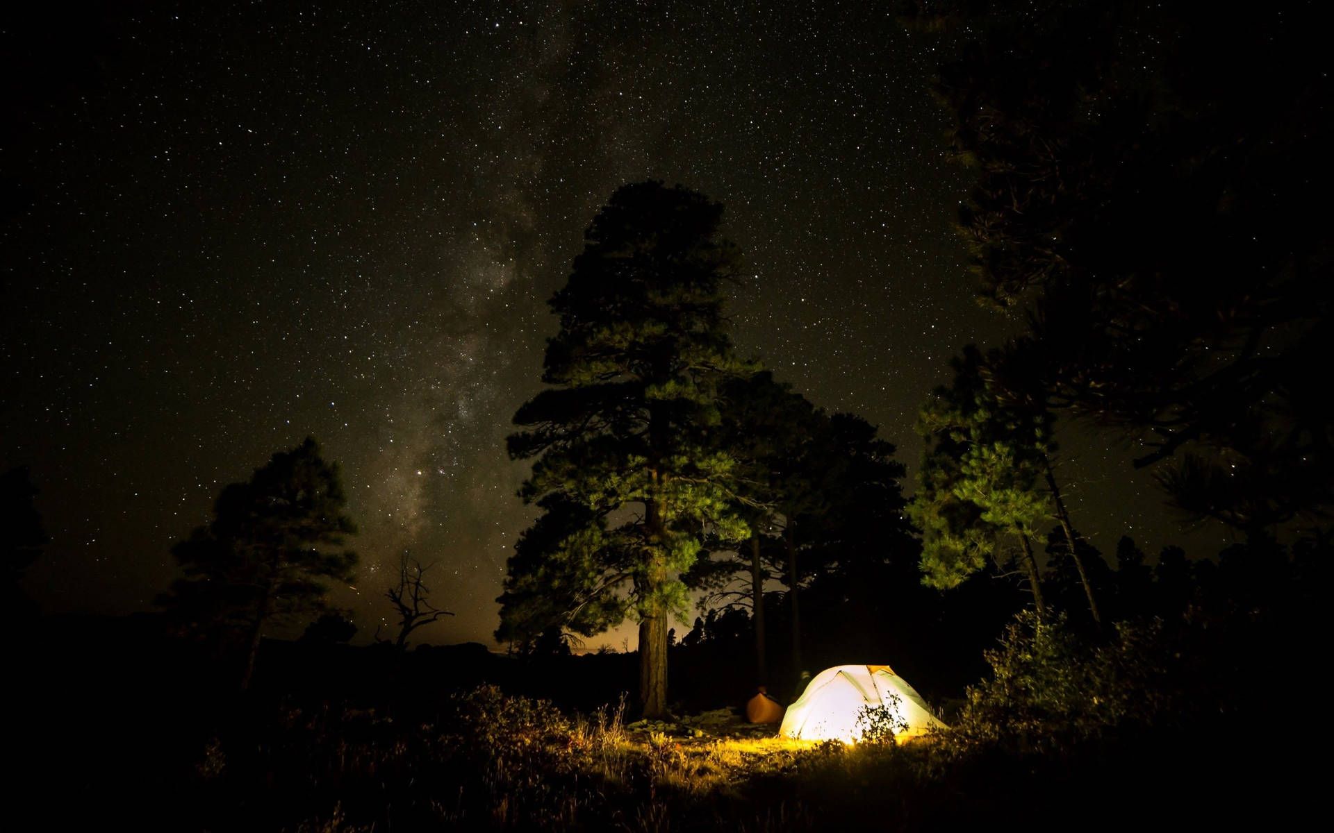 Tent under the stars wallpaper 1920x1200 - Camping
