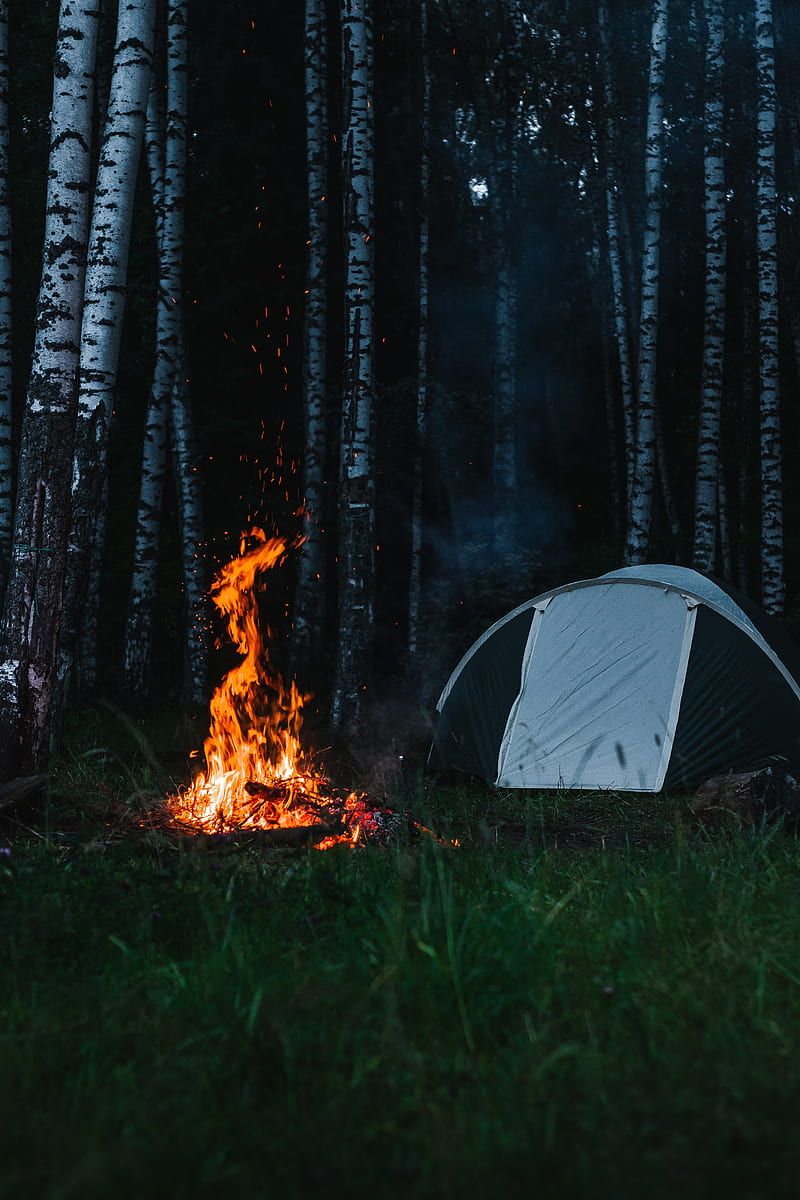A tent in the woods with a fire burning - Camping