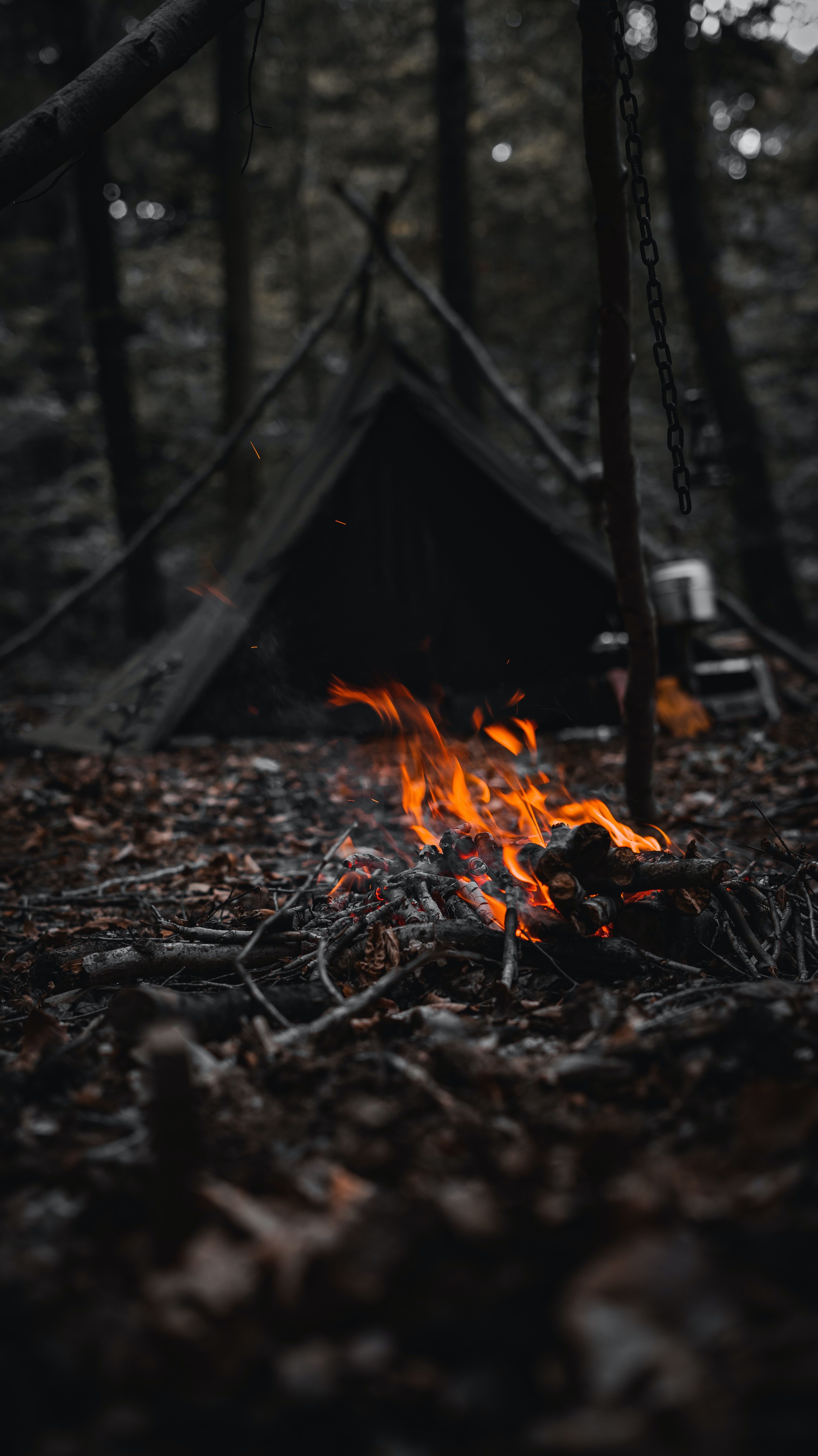 Camp Site Photo, Download The BEST Free Camp Site & HD Image