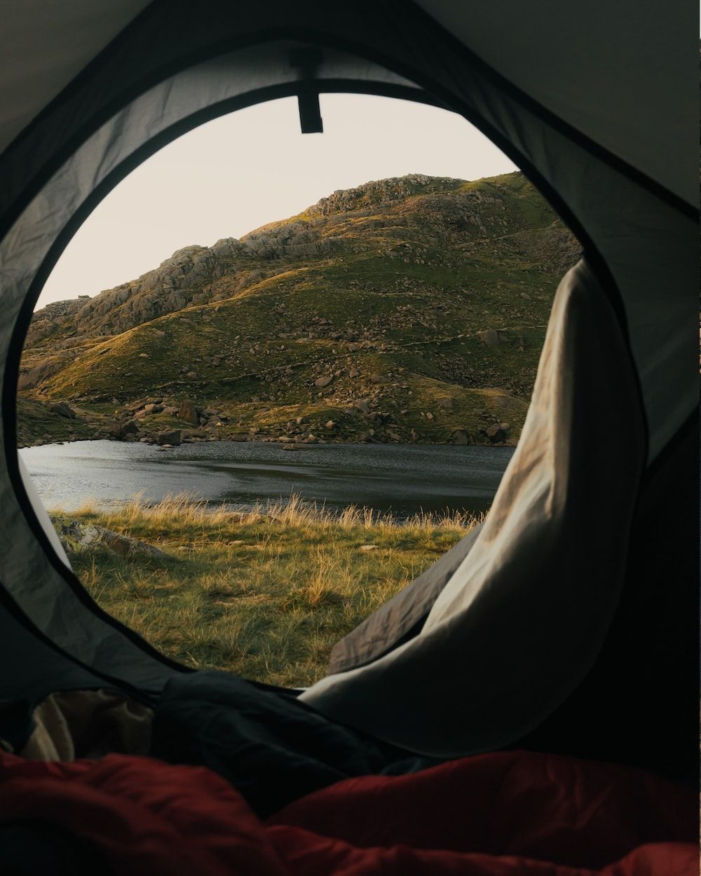 View from a tent - Camping