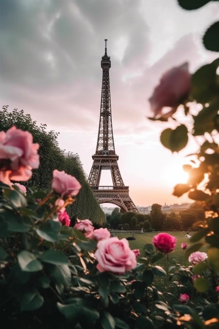 Eiffel tower with pink flowers in the foreground - Eiffel Tower