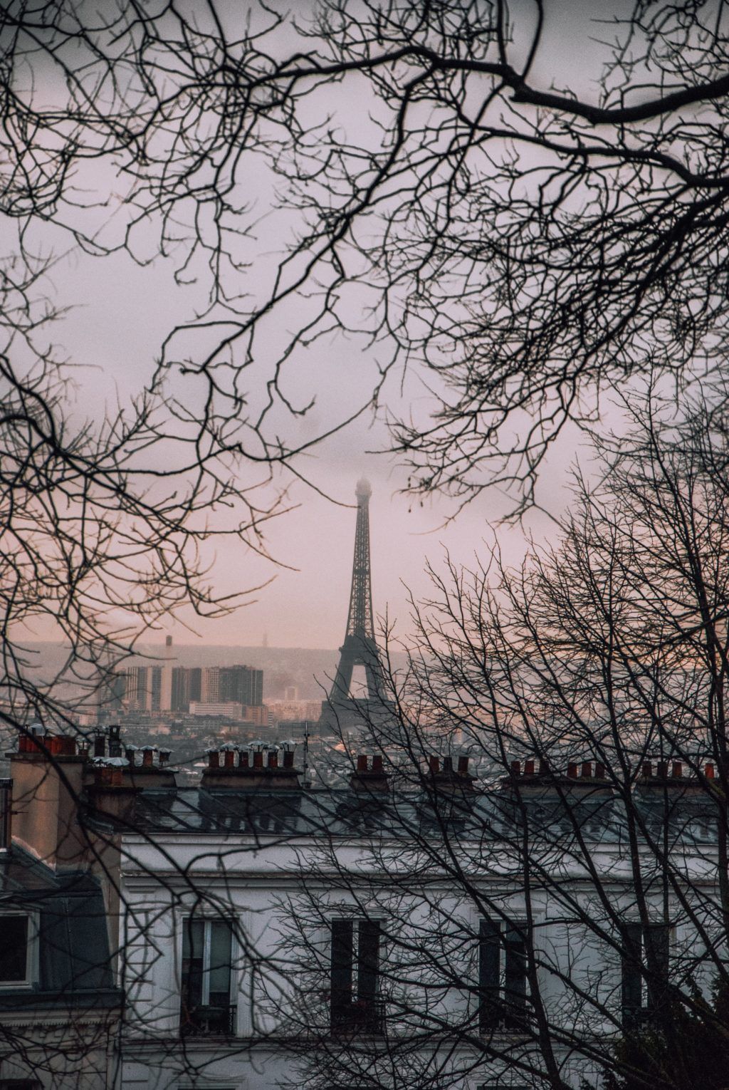 A picture of the Eiffel Tower through the branches of a tree. The sky is grey and the trees are bare.  - Eiffel Tower