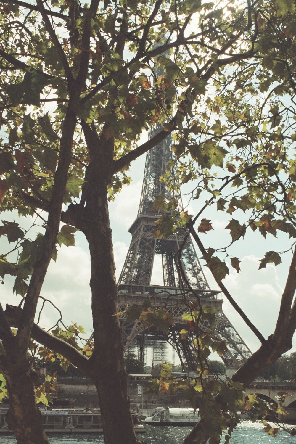 A view of the eiffel toweres photo