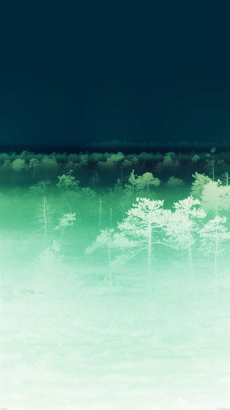 A green forest in the fog iPhone 8 wallpaper - Ghost