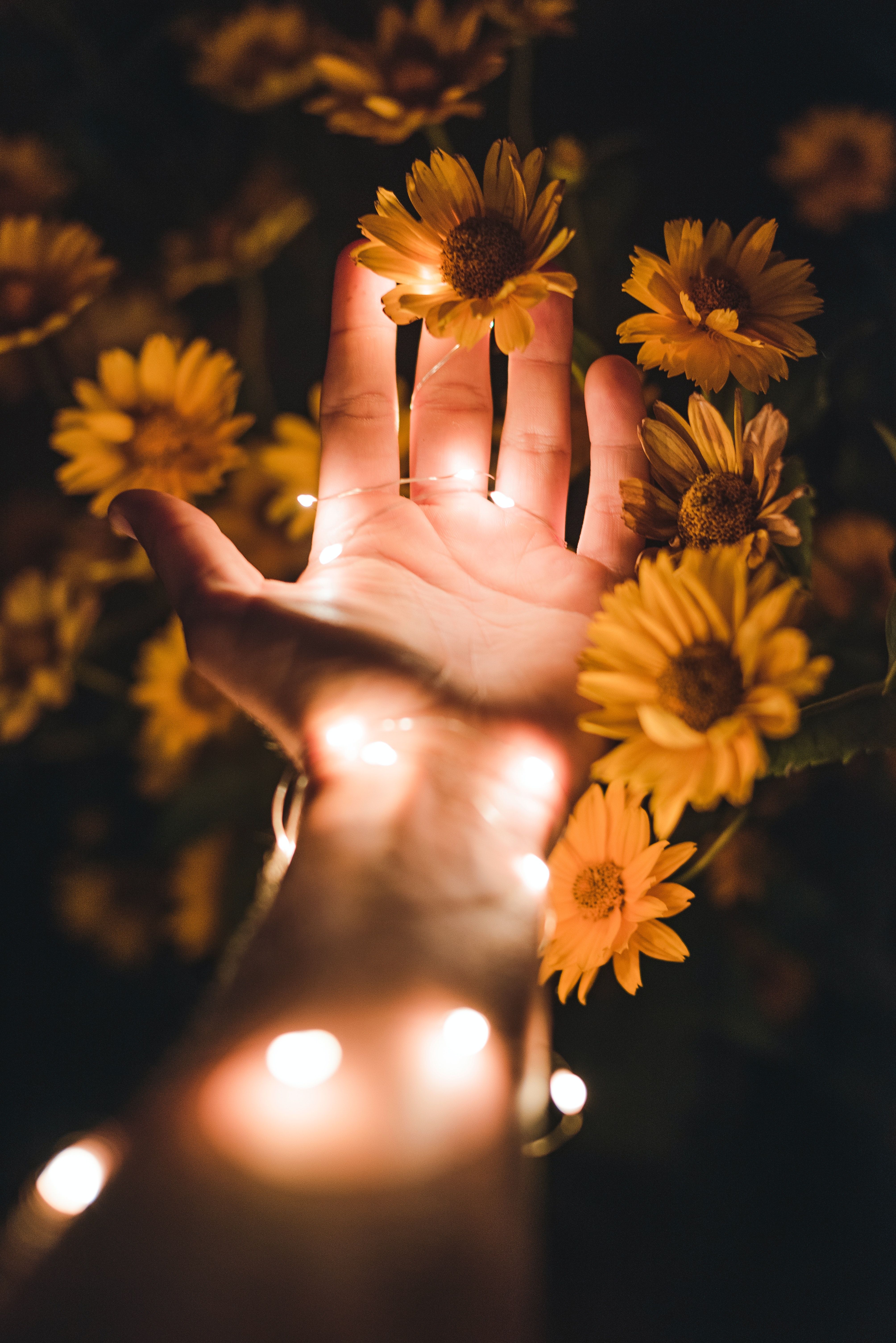 A hand with a string of lights on it surrounded by yellow flowers. - Fairy lights