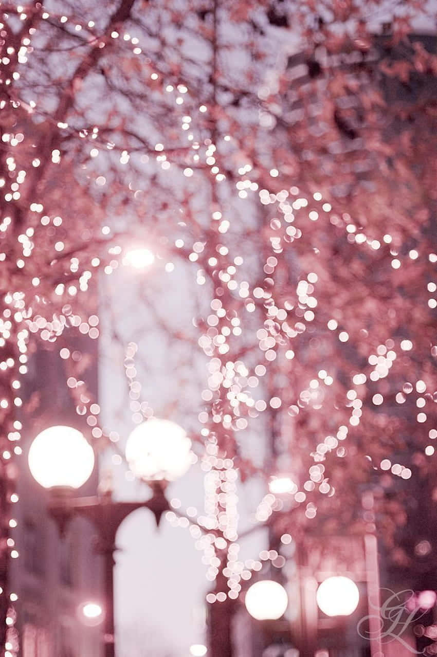 Bokeh of pink lights on a tree - Fairy lights
