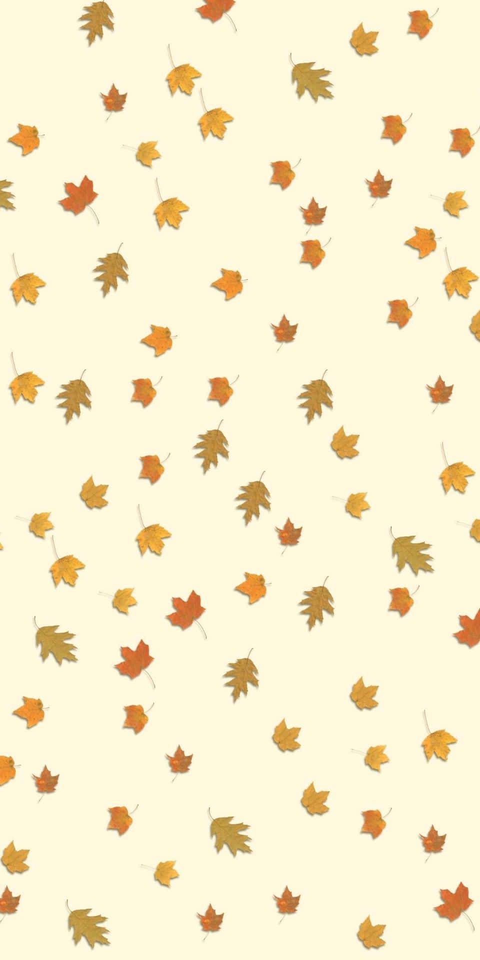 A cute background for the fall season - Android