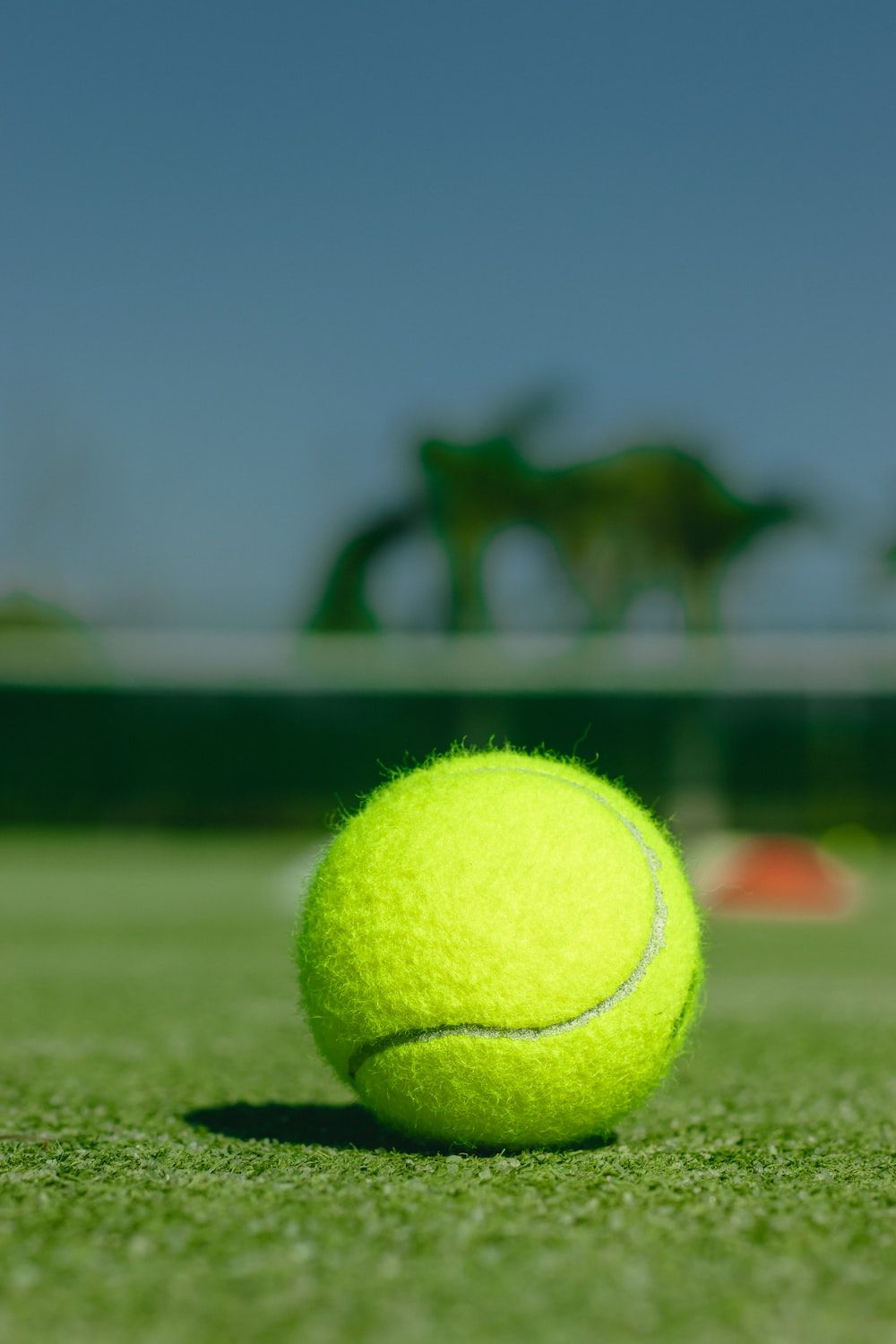 time lapse photo of tennis ball photo