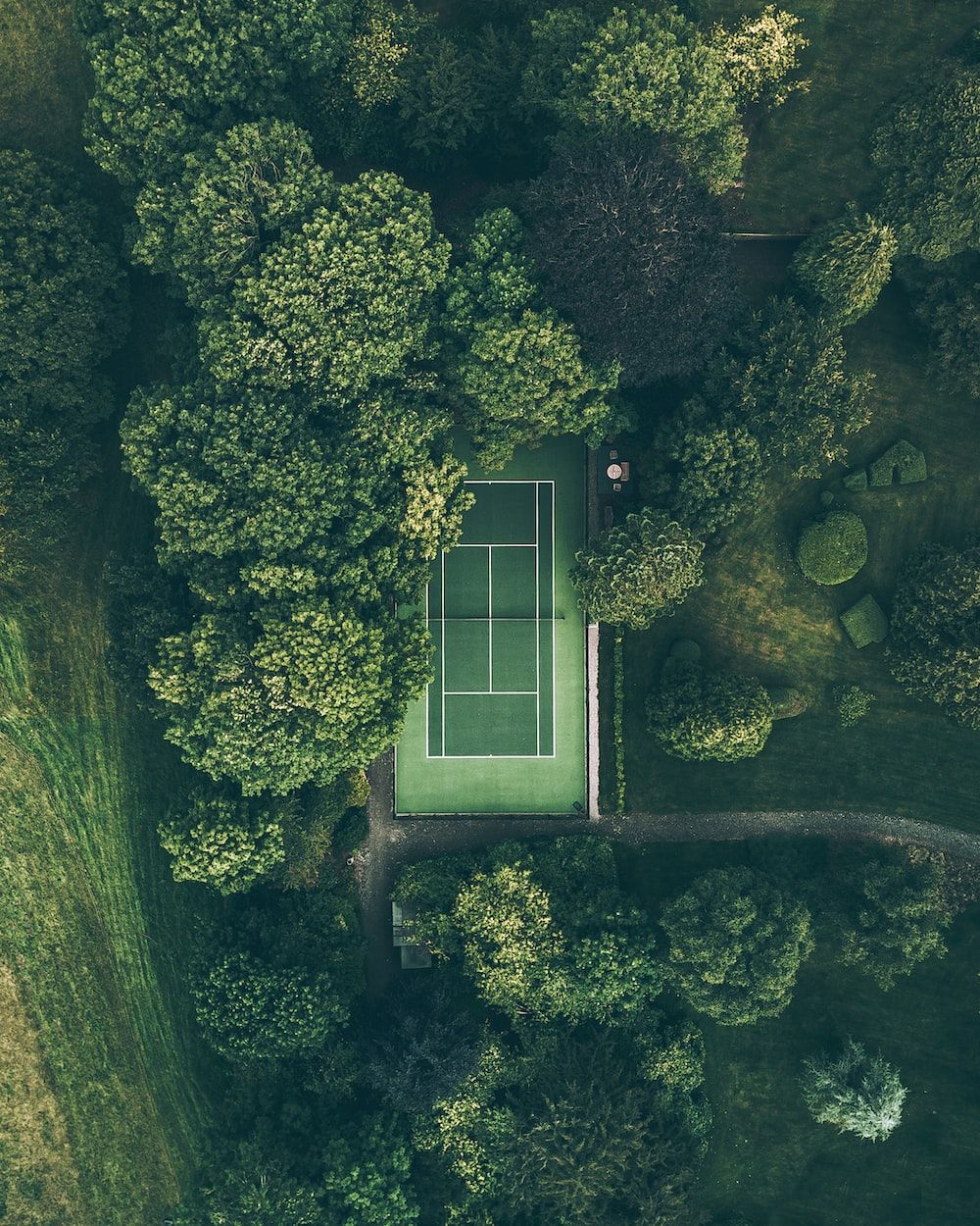 Tennis Court Picture. Download Free Image