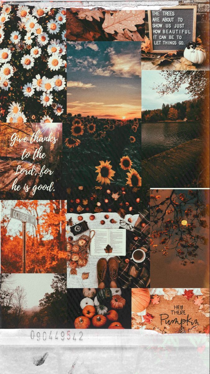 Autumn aesthetic wallpaper. Cute iphone wallpaper tumblr, Cow wallpaper, Cute wallpaper background
