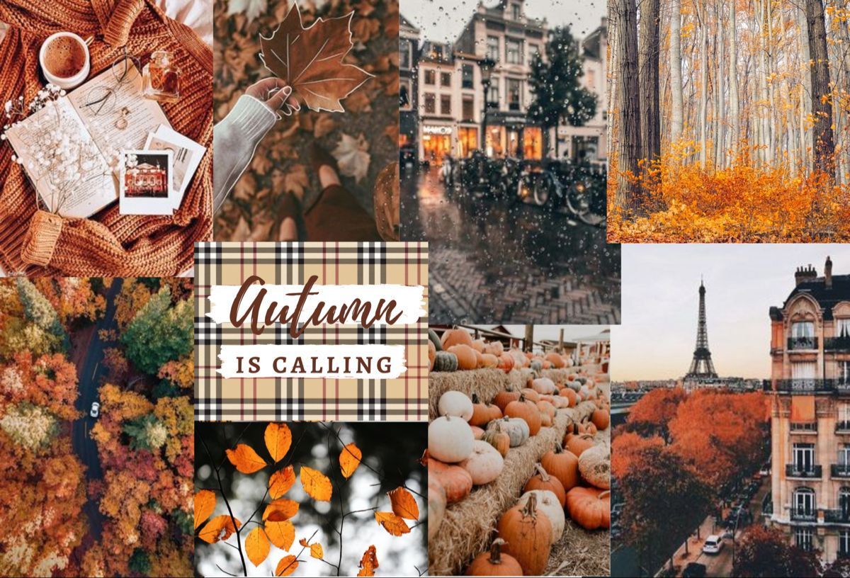 Autumn wallpaper. Fall wallpaper, Macbook wallpaper, Macbook air wallpaper