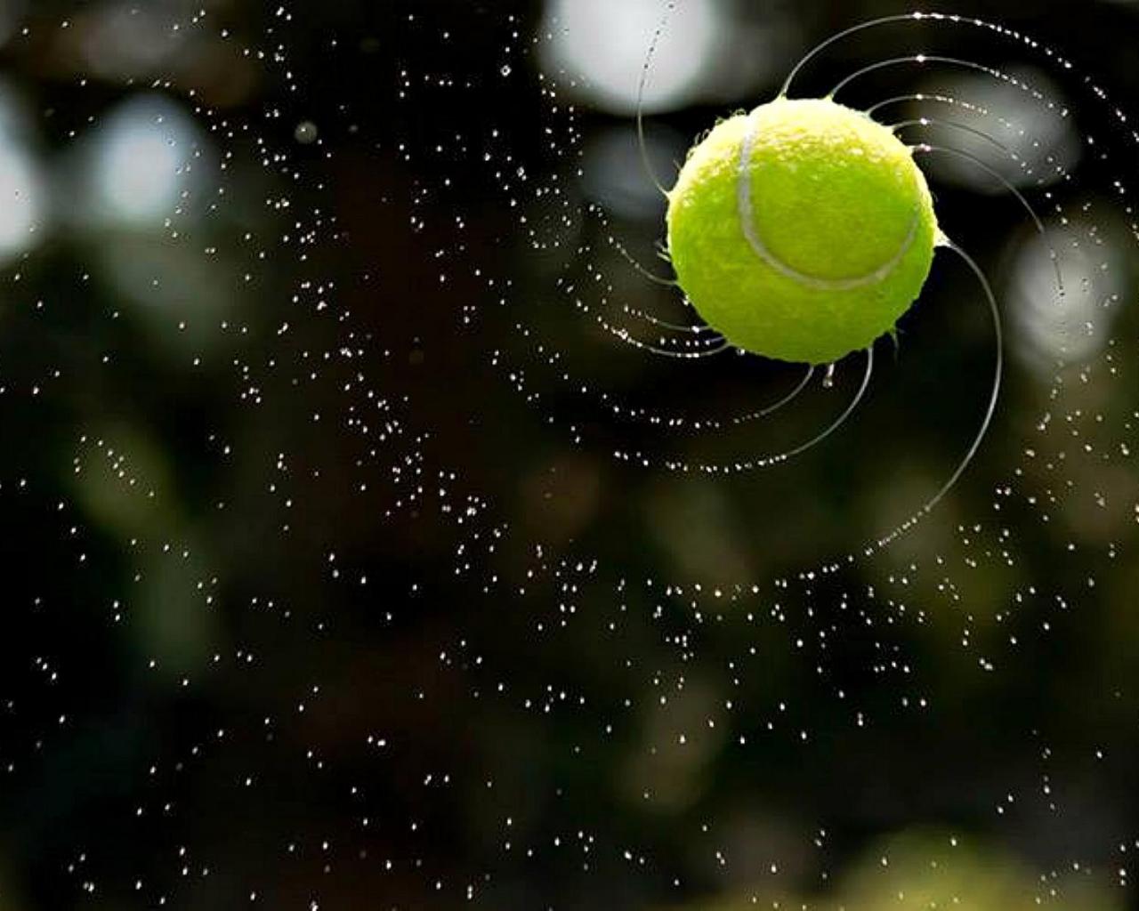 Free download off a tennis ball 128948 High Quality and Resolution Wallpaper [1280x1024] for your Desktop, Mobile & Tablet. Explore Tennis Wallpaper 1280x1024. Tennis Star Wallpaper, Tennis Court Wallpaper, Tennis Wallpaper HD