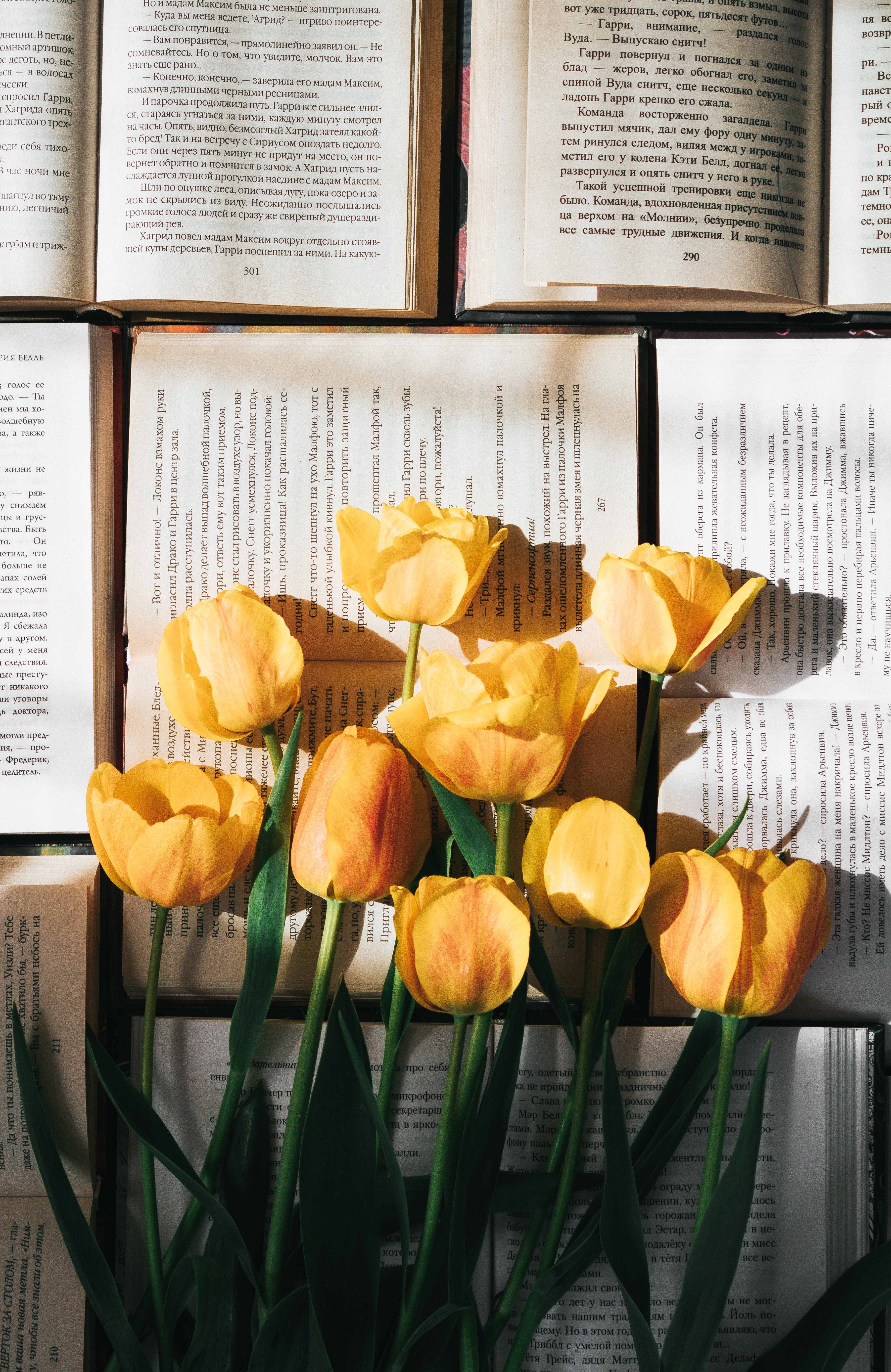 A Bunch of Yellow Tulips on Book Pages · Free