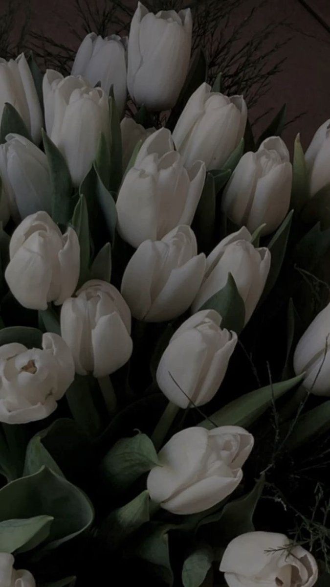 need a husband so he can buy me a white tulips bouquet