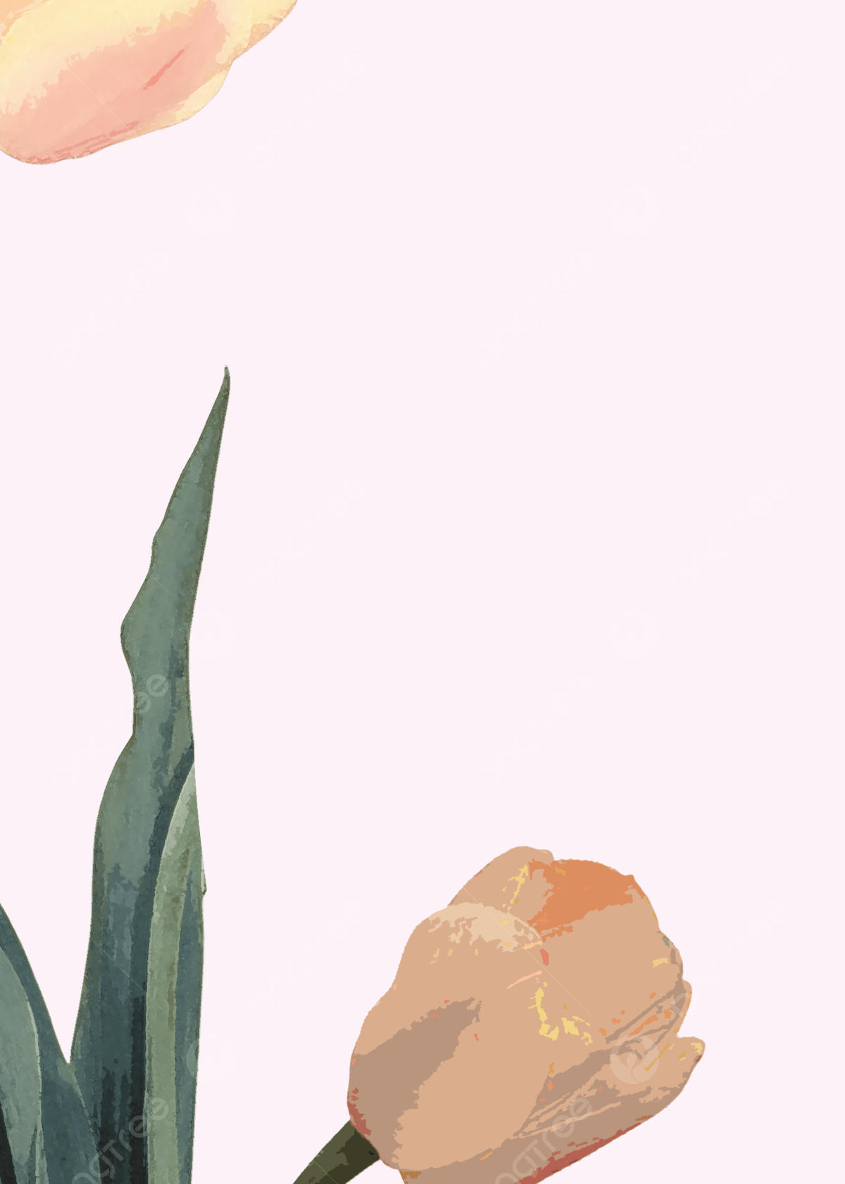 A phone screen with a tulip wallpaper - Tulip