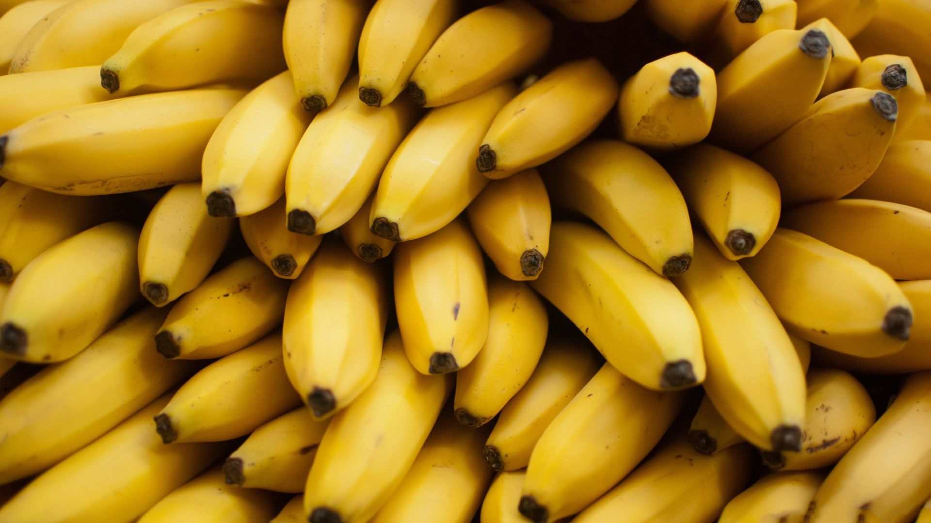 Bunches of bananas are piled up on top of each other. - Banana