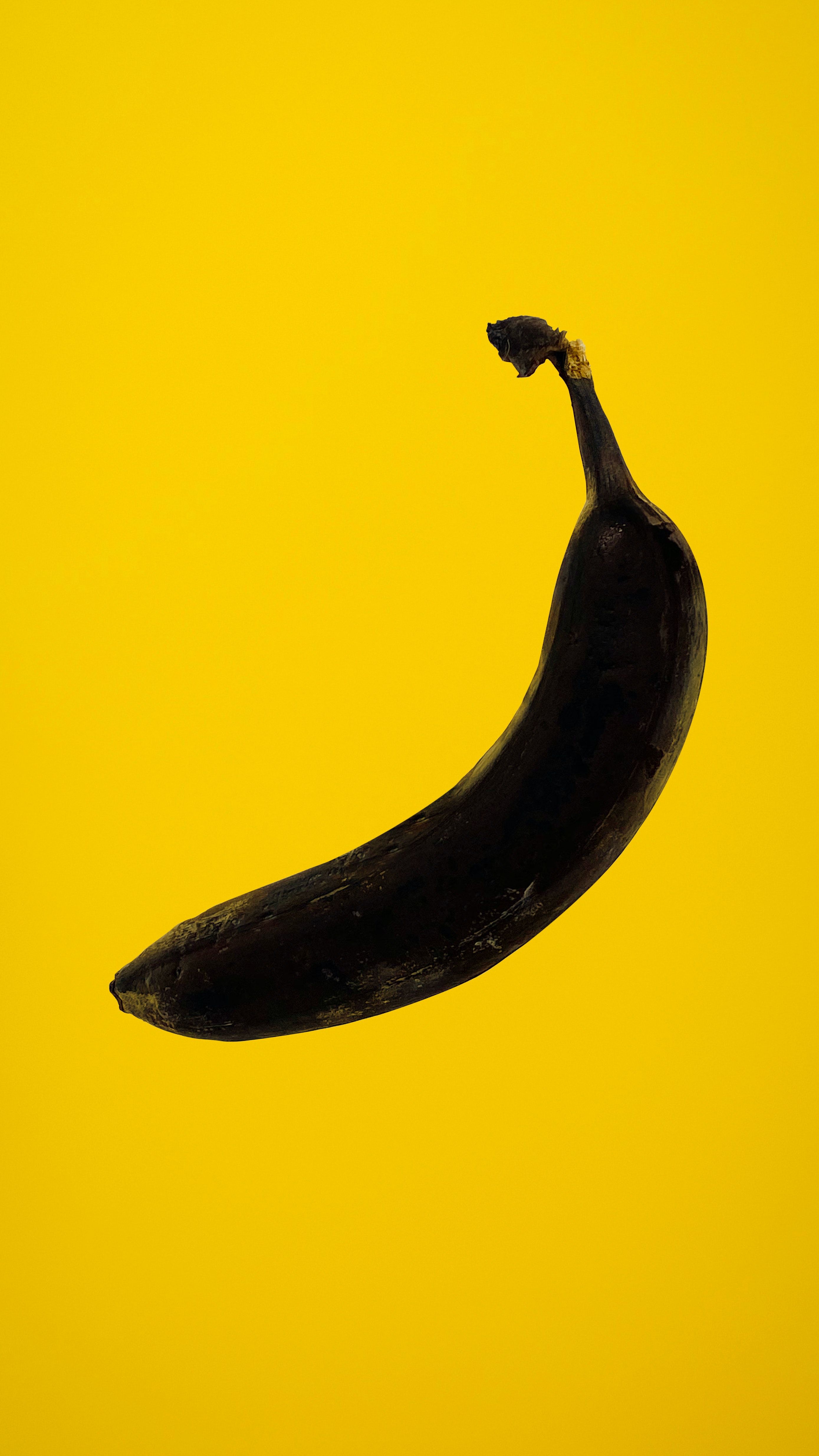 A black banana on top of yellow background - Banana