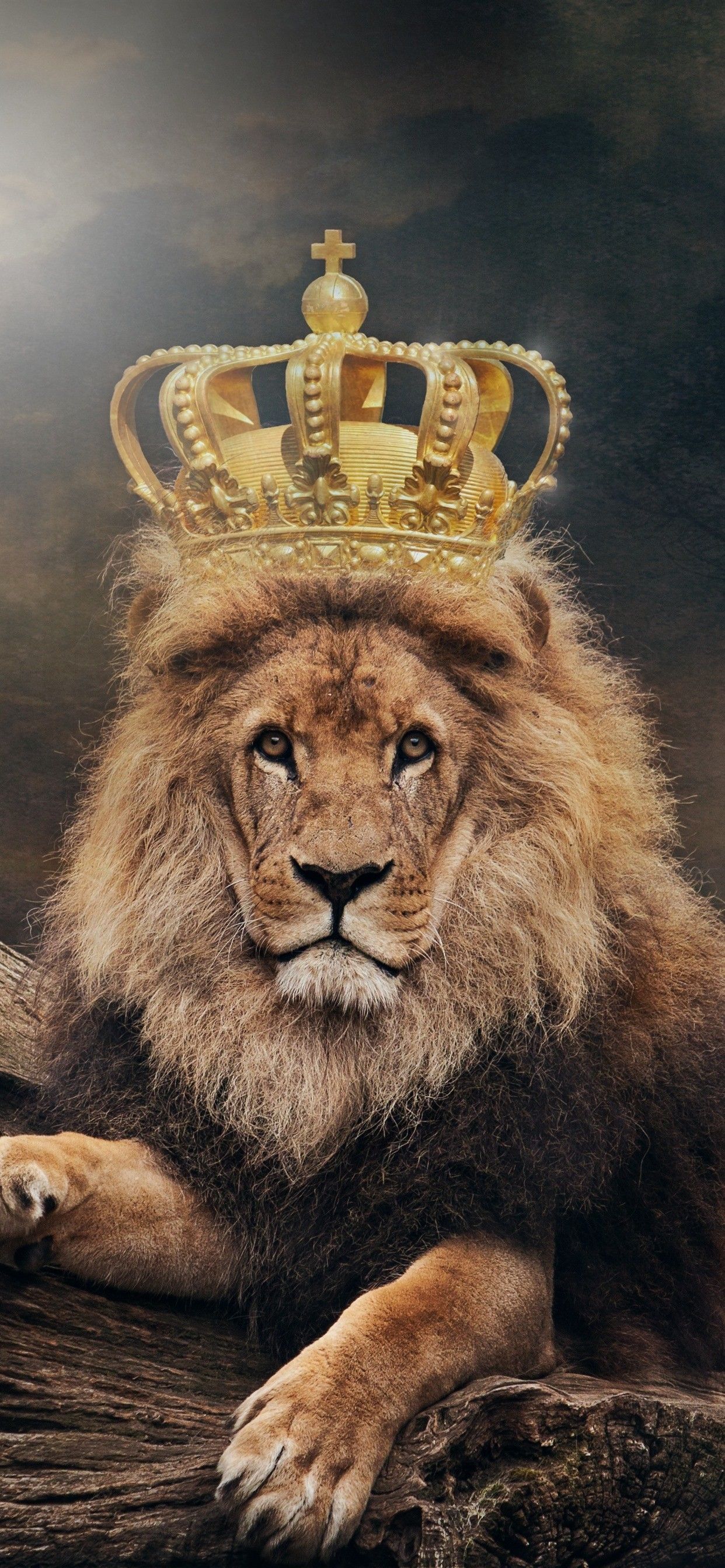 A lion with a crown on its head - Lion