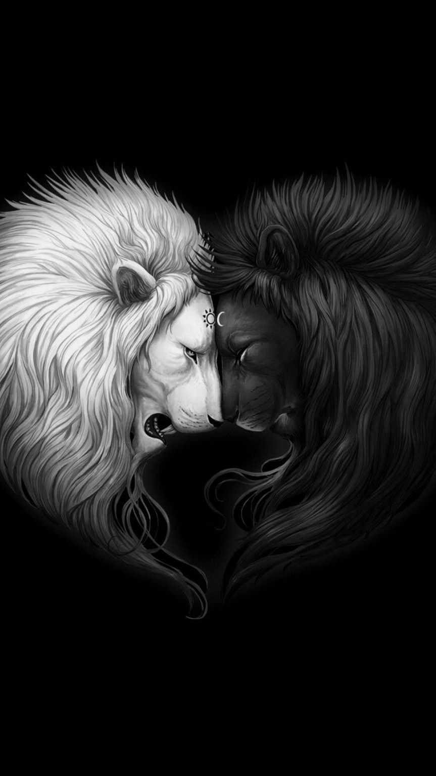 A black and white image of two lions with their heads together. - Lion, Leo