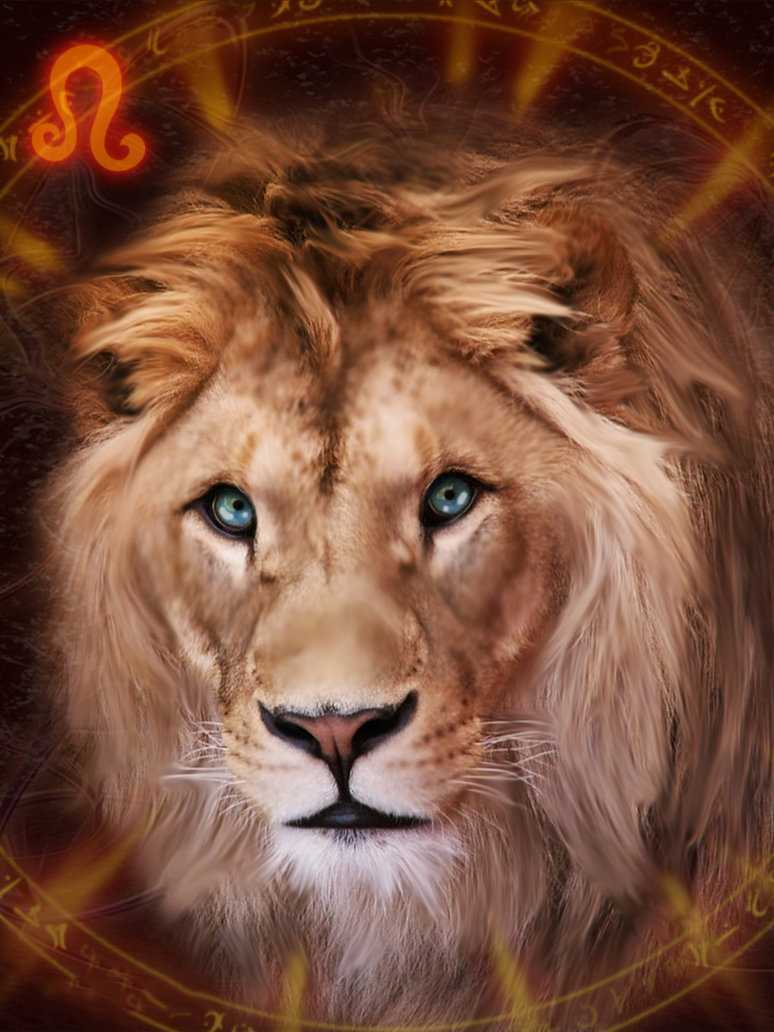 A lion with blue eyes and a mane of gold. - Lion, Leo