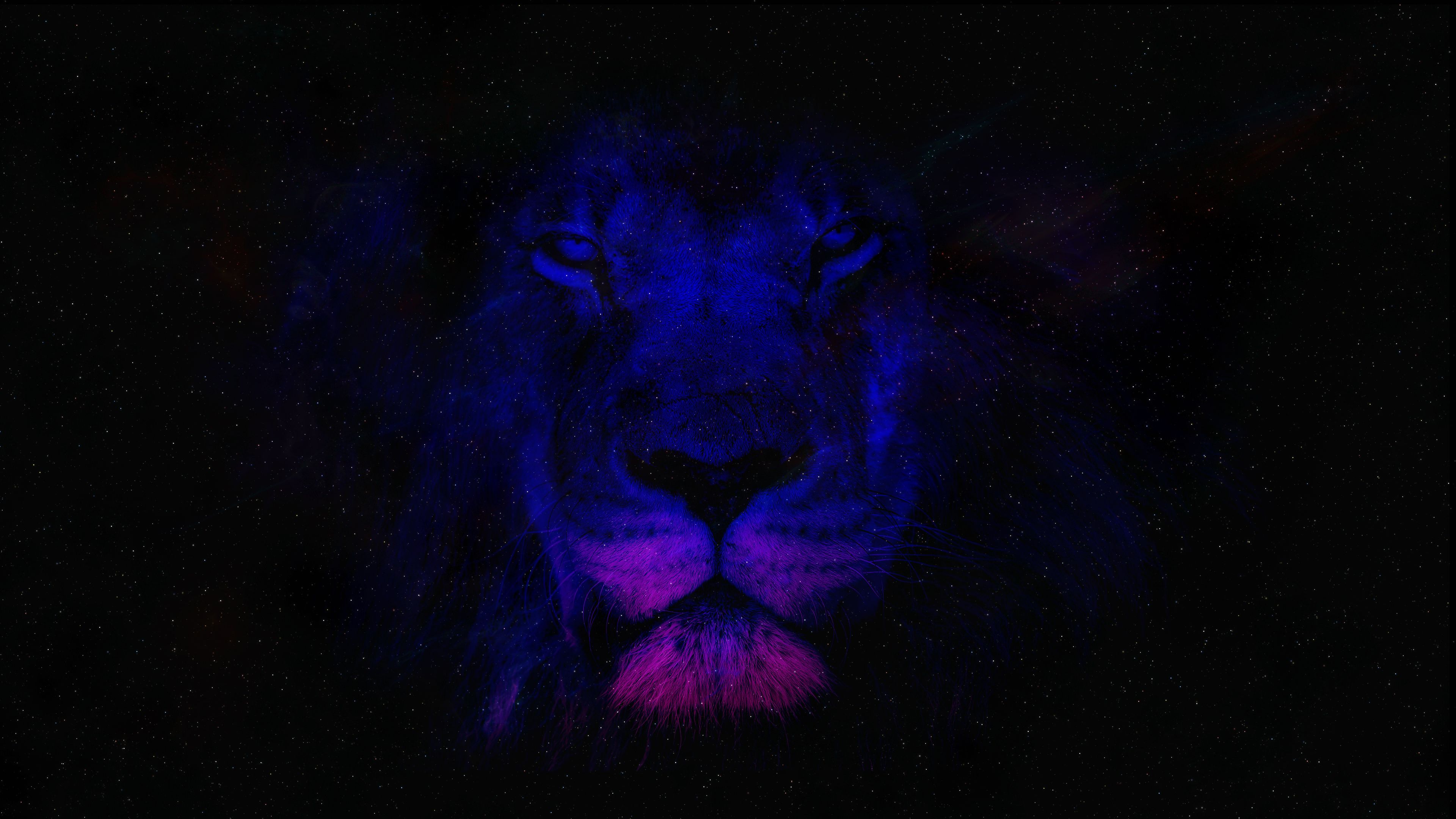 A lion with purple eyes in the dark - Lion