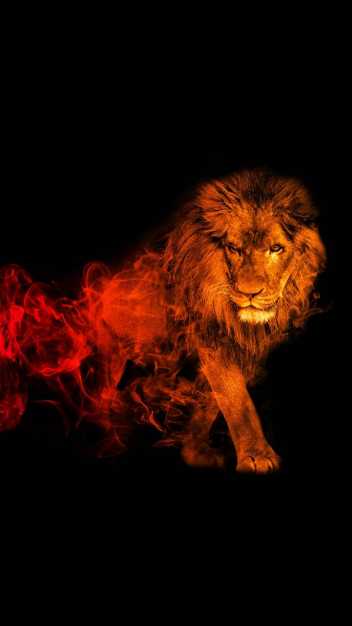 Red And Black Lion Wallpaper