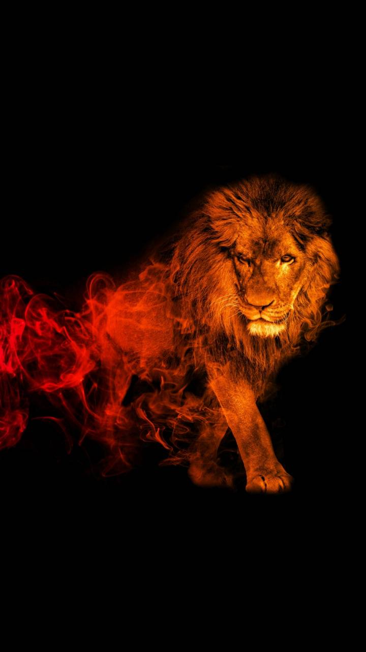 A lion with flames in the background - Lion