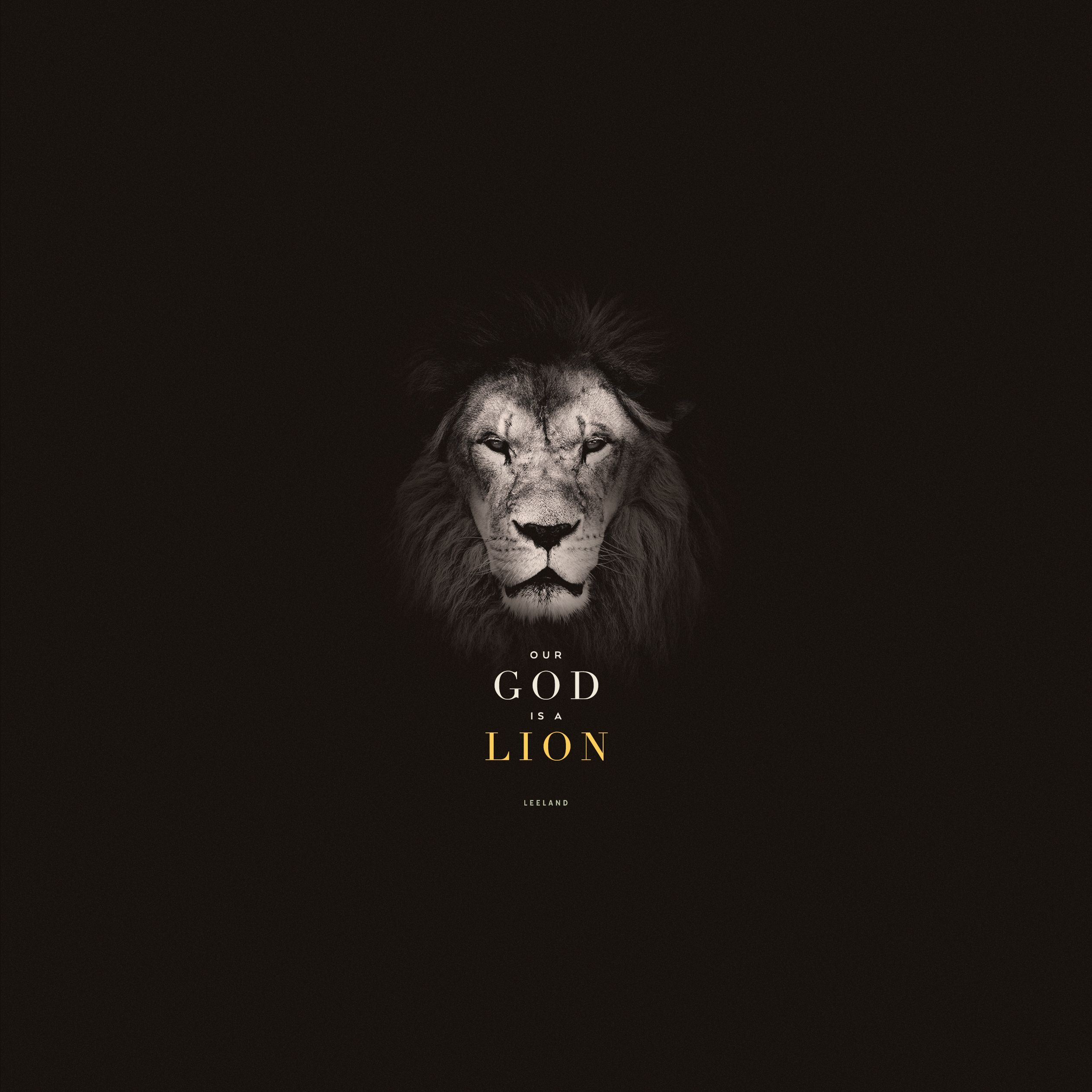 Jesus Lion Wallpaper Free Jesus Lion Background