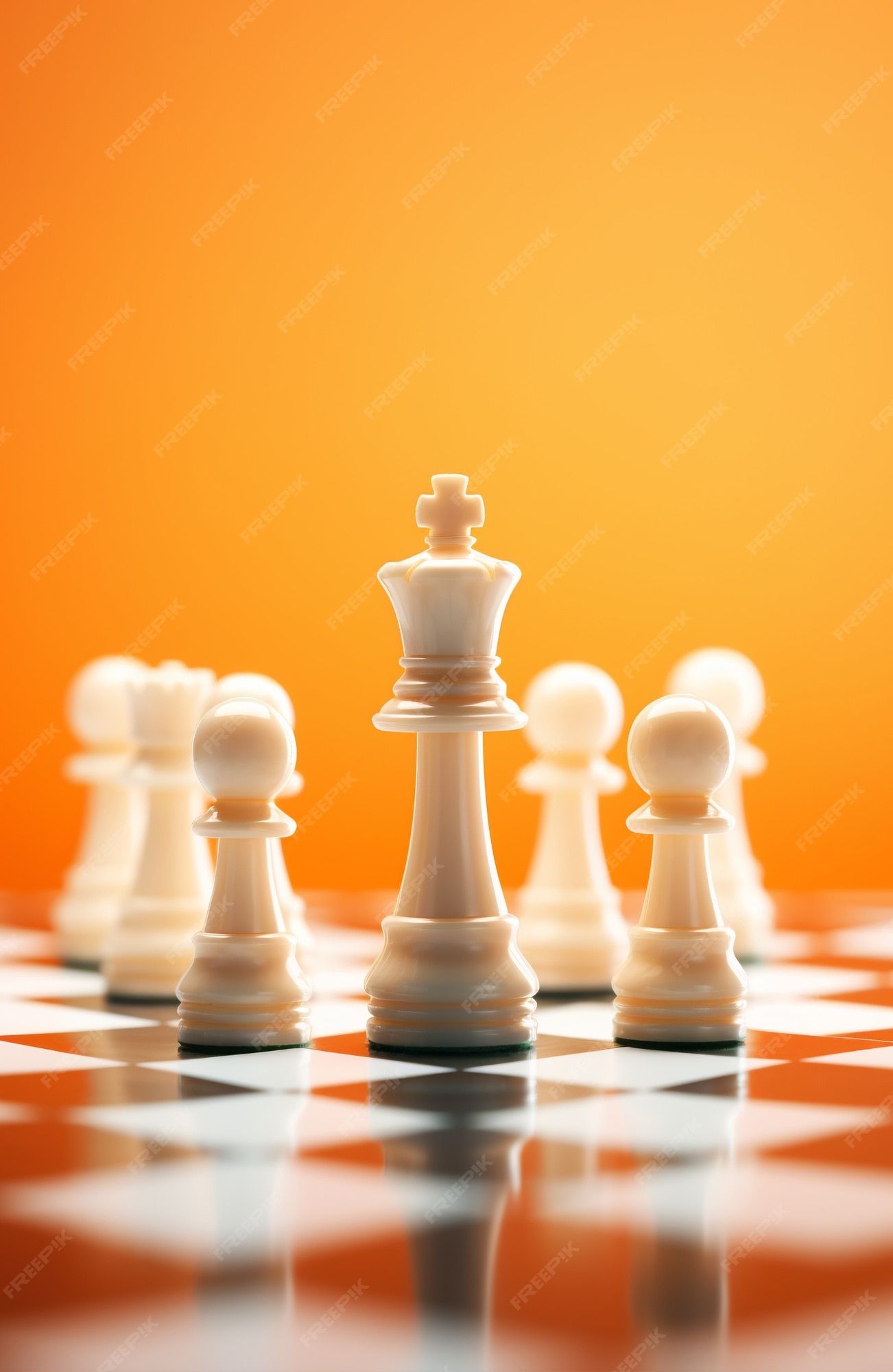 Chess pieces on a chess board - Chess
