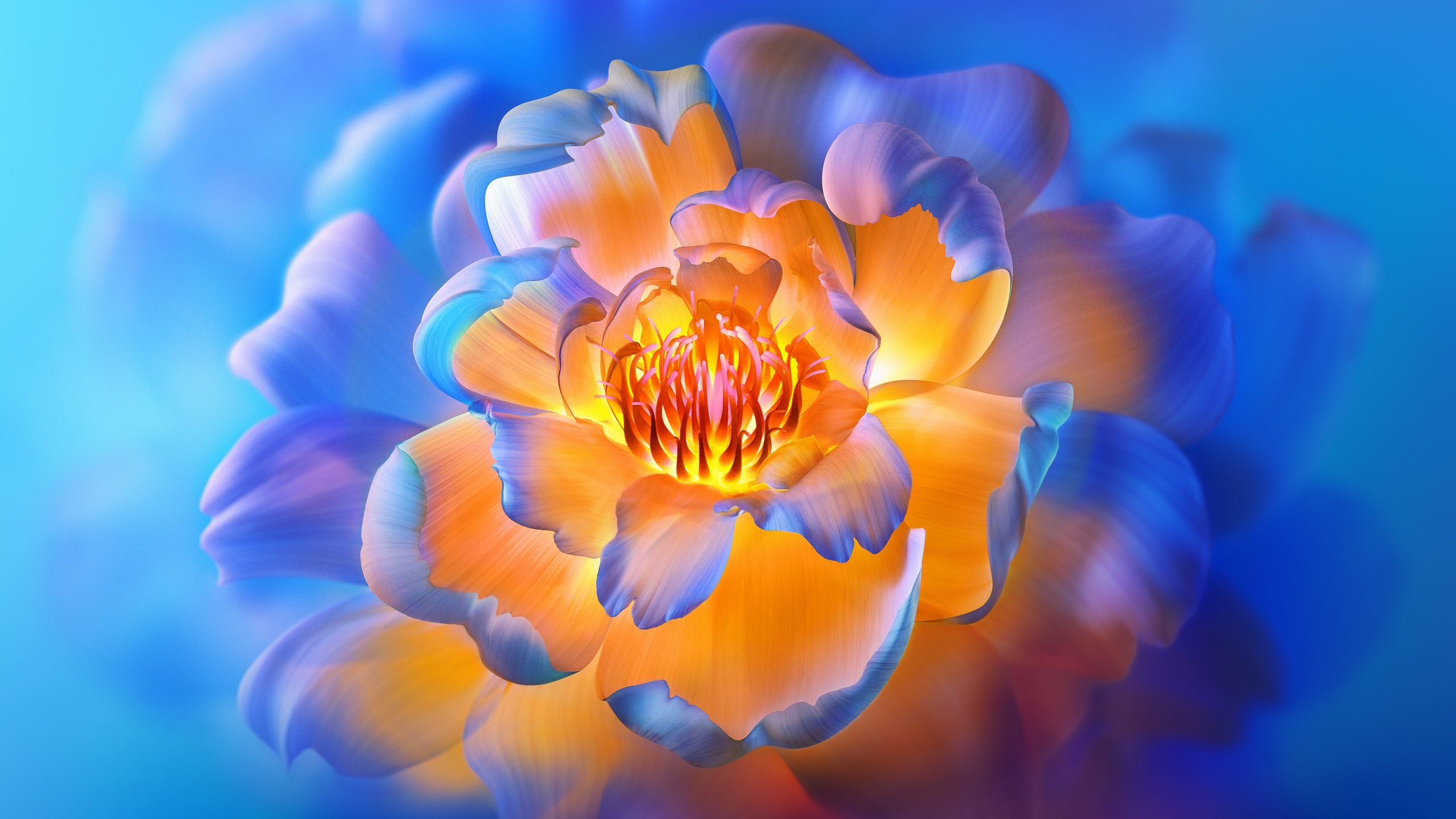 A close up of a flower with a blue background - 2560x1440