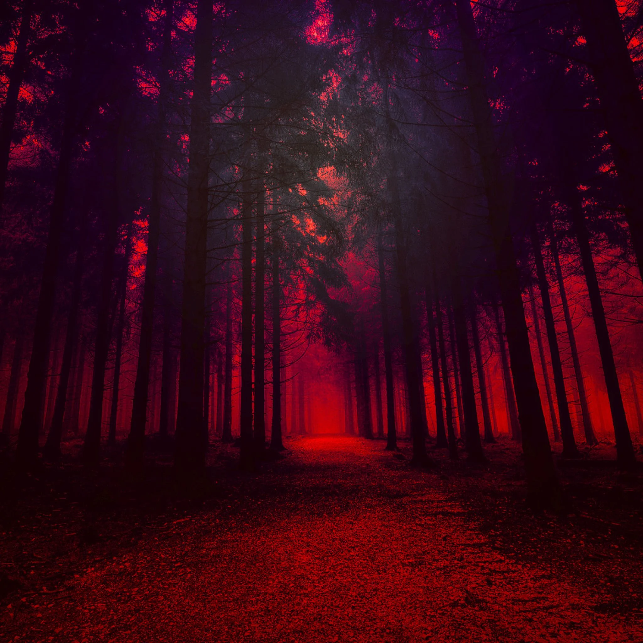 A red and black forest with a red light at the end of the path - Crimson
