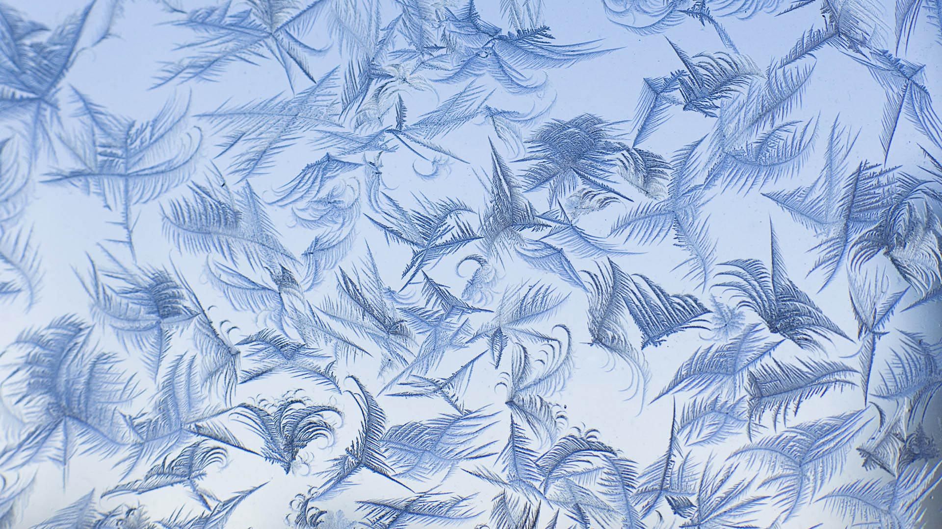 Frost patterns on a window - Macro
