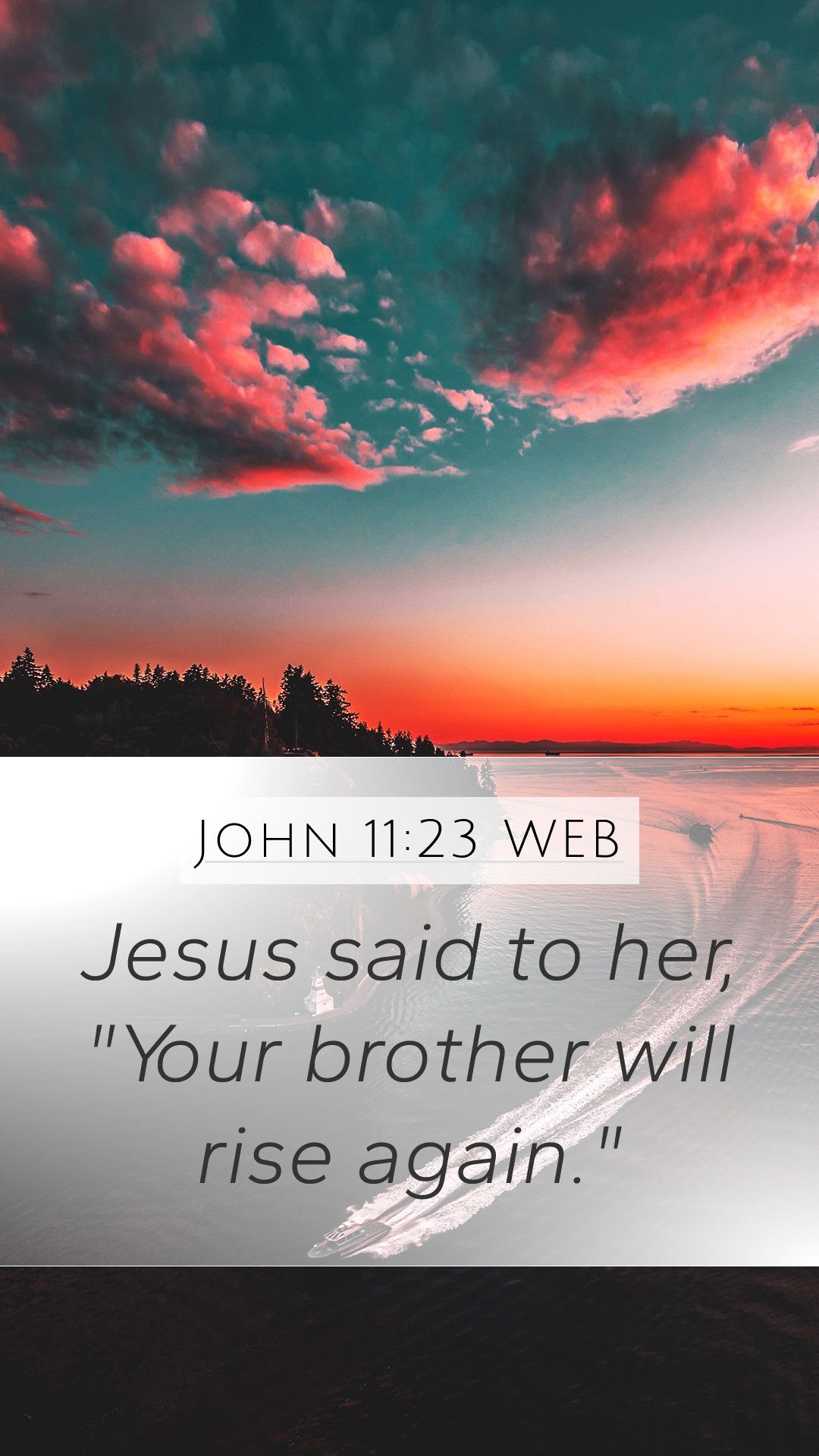 John 11:23 WEB Mobile Phone Wallpaper said to her, Your brother will rise