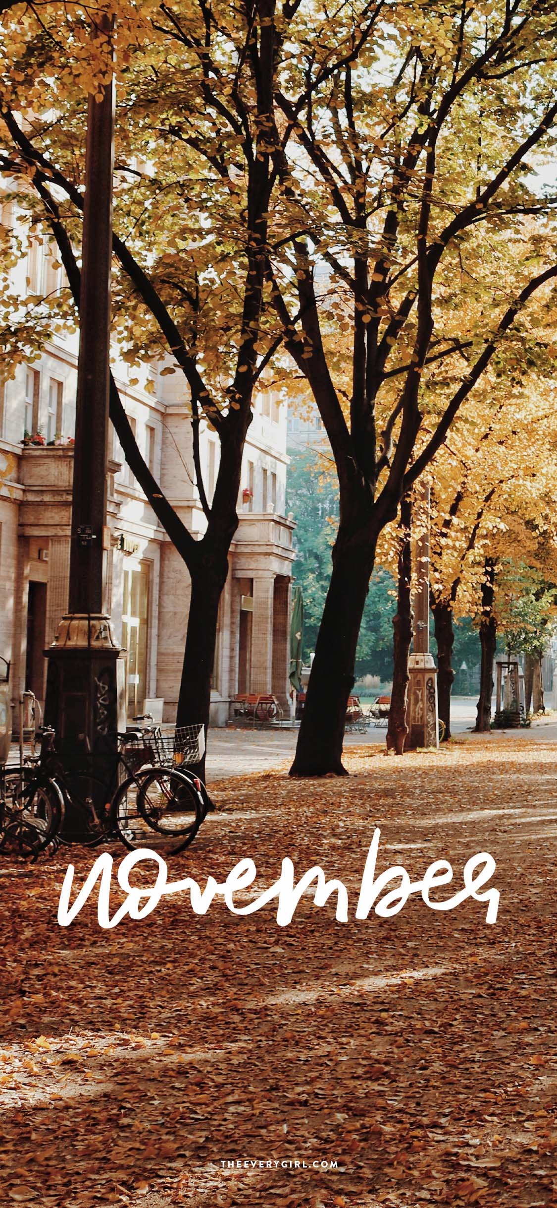 November wallpaper with yellow leaves and a bike - November