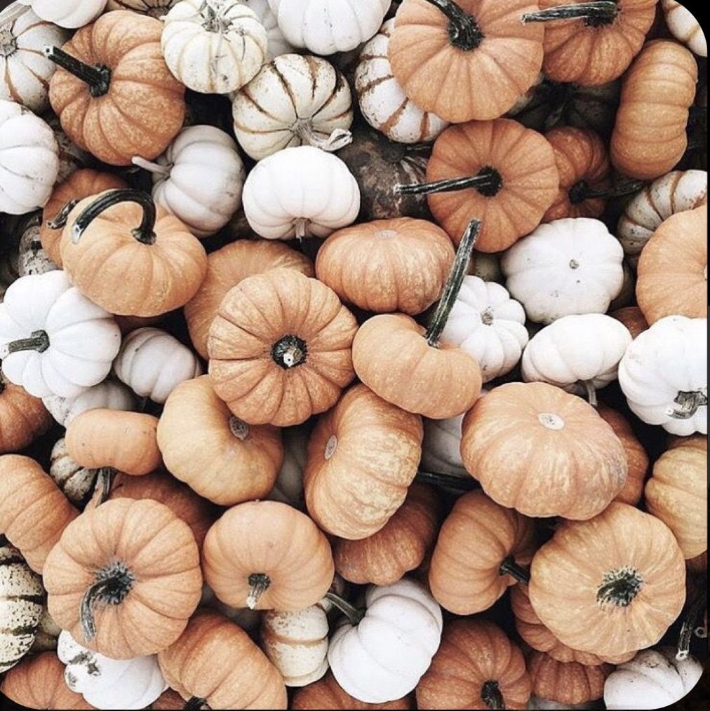 October. Pumpkin wallpaper, Cute fall wallpaper, Fall wallpaper