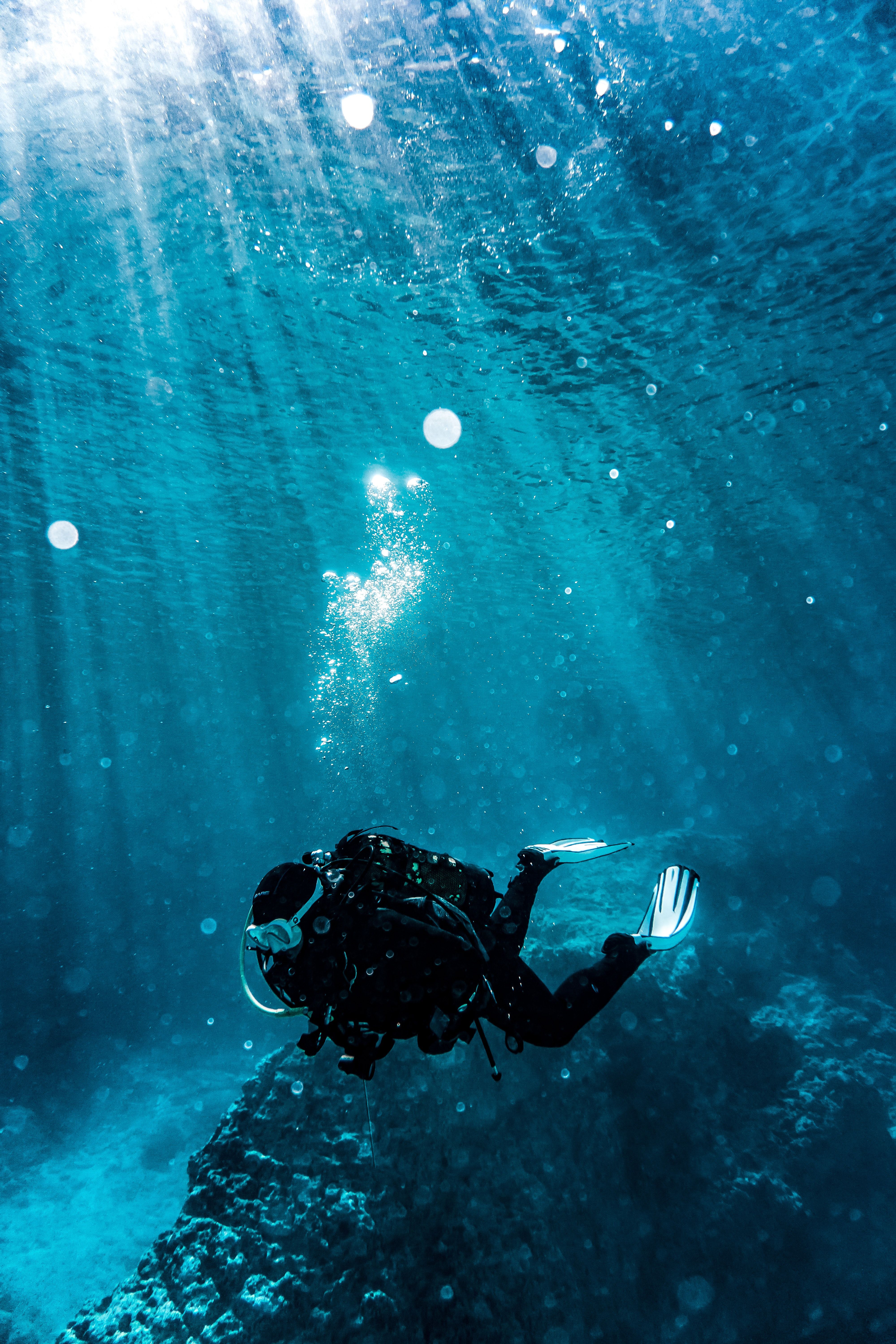 A person wearing scuba gear swimming underwater. - Underwater