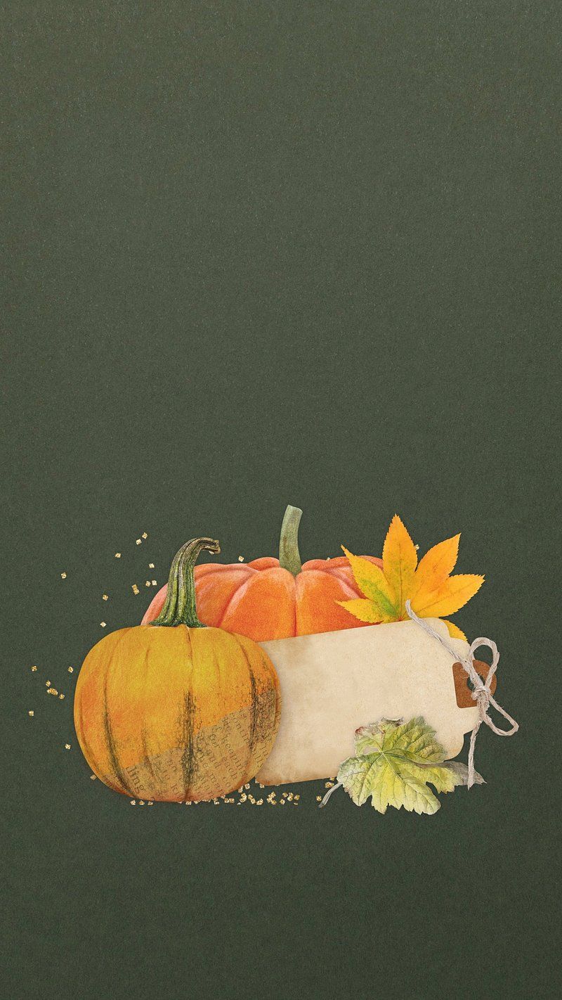 Pumpkin Botanical Illustration Image Wallpaper