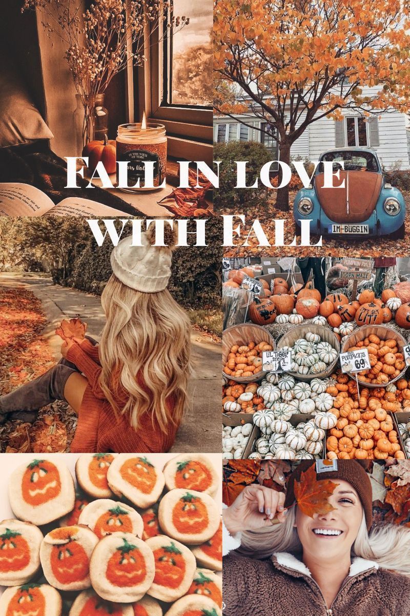 Cute Brown Aesthetic Wallpaper for Phone : Fall in Love with Fall I Take You. Wedding Readings. Wedding Ideas