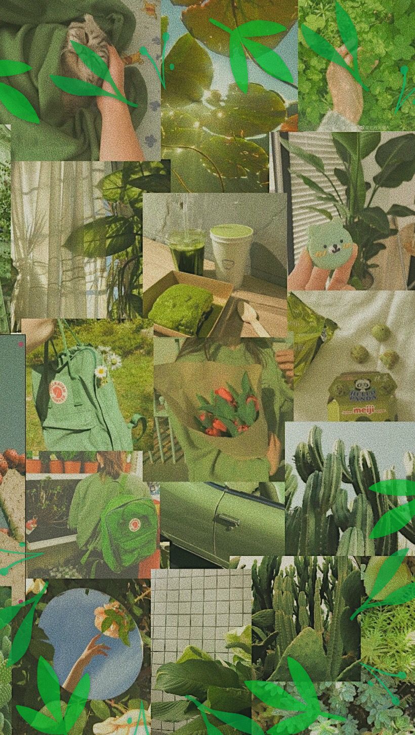 Collage of green images including plants, people, and a green mug - Soft green