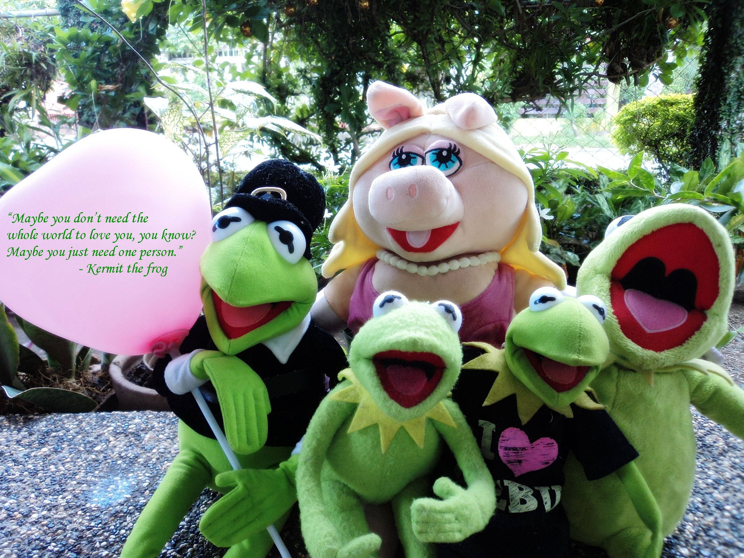 Download Kermit The Frog And Family Wallpaper